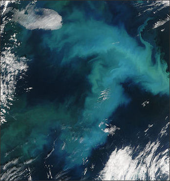 20120517-Plankton Phytoplankton_Bloom_in_the_North Sea.jpg